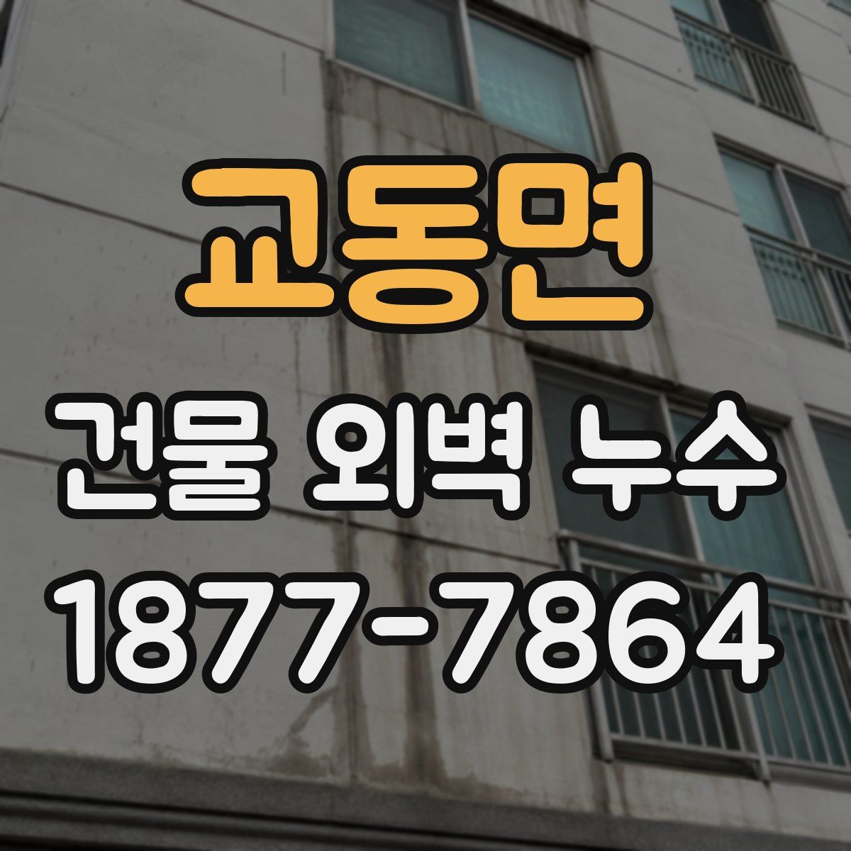 교동면 건물 외벽 누수