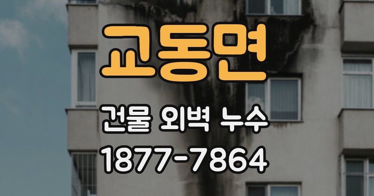 교동면 건물 외벽 누수