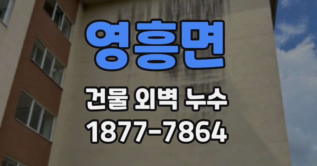 영흥면 건물 외벽 누수