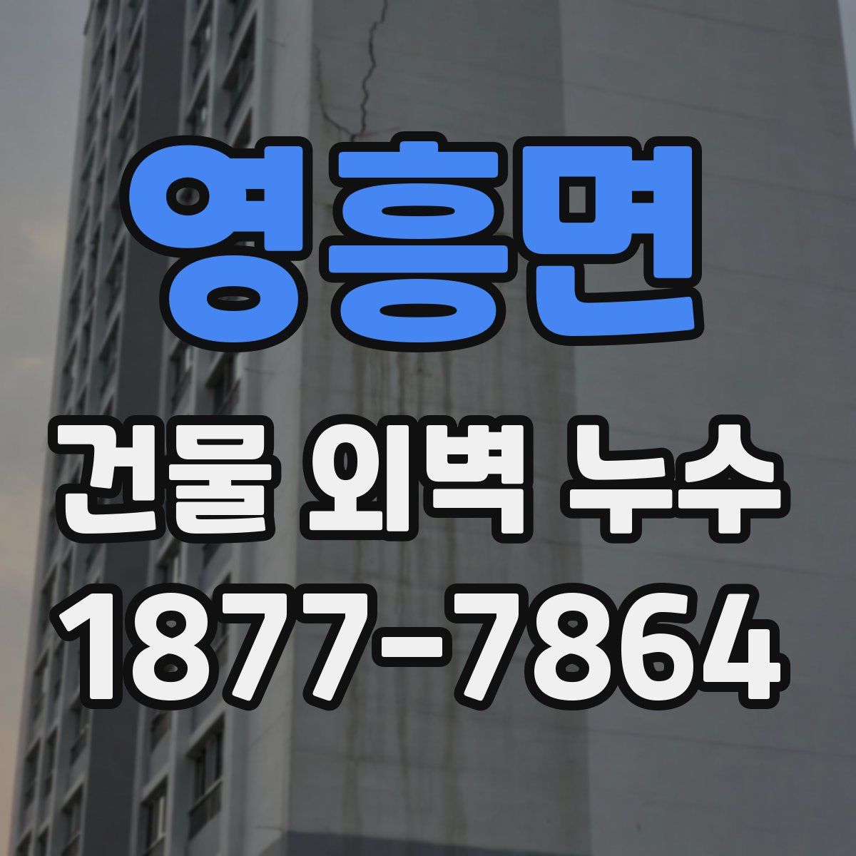 영흥면 건물 외벽 누수