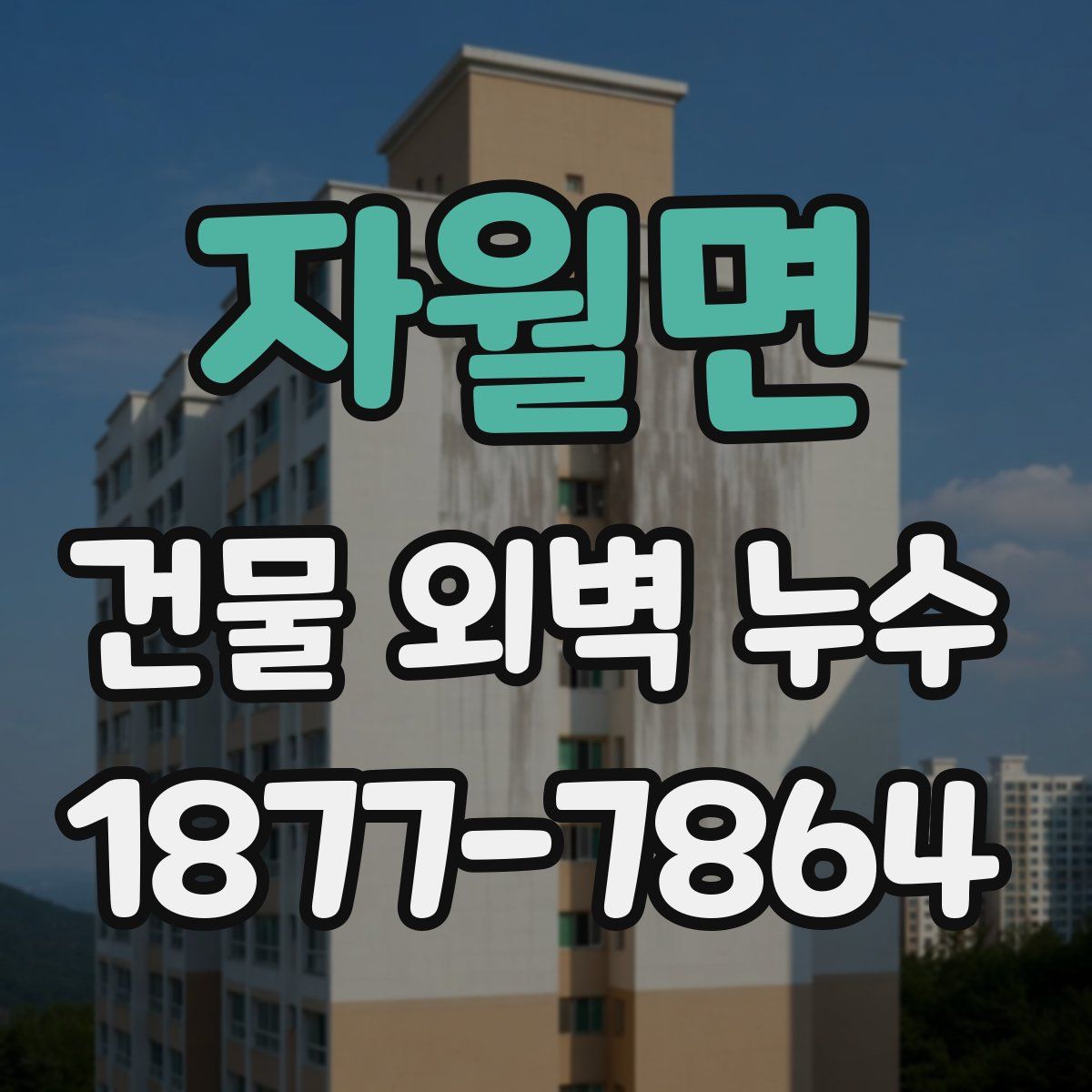 자월면 건물 외벽 누수