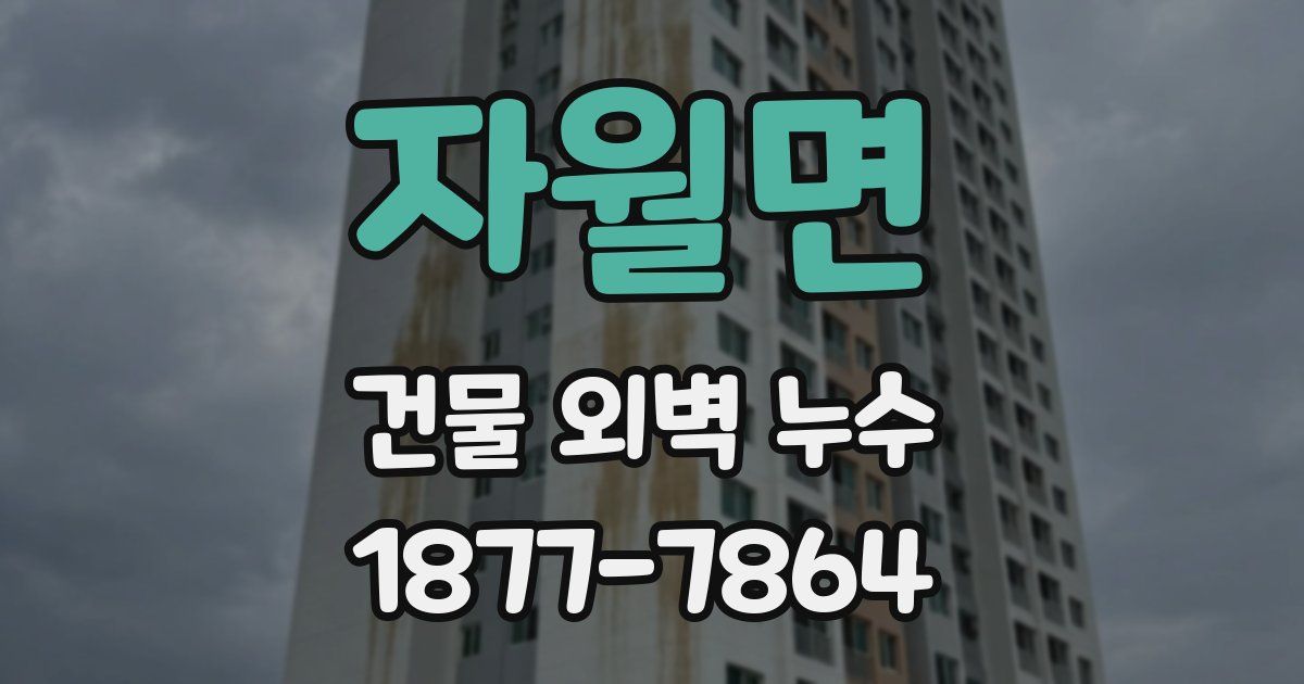 자월면 건물 외벽 누수