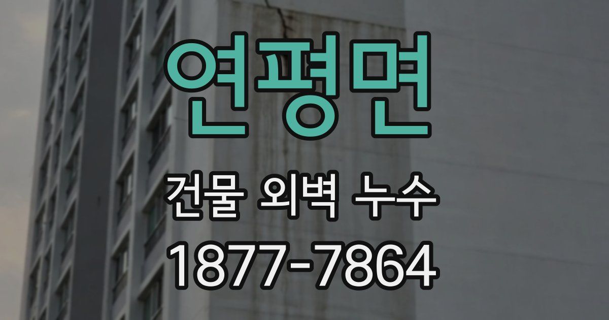연평면 건물 외벽 누수