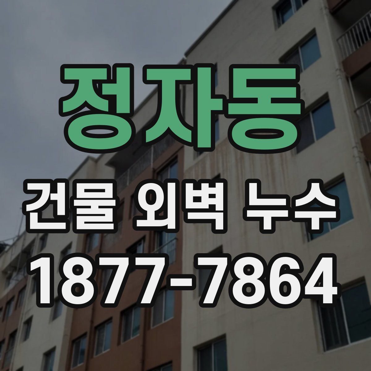 정자동 건물 외벽 누수