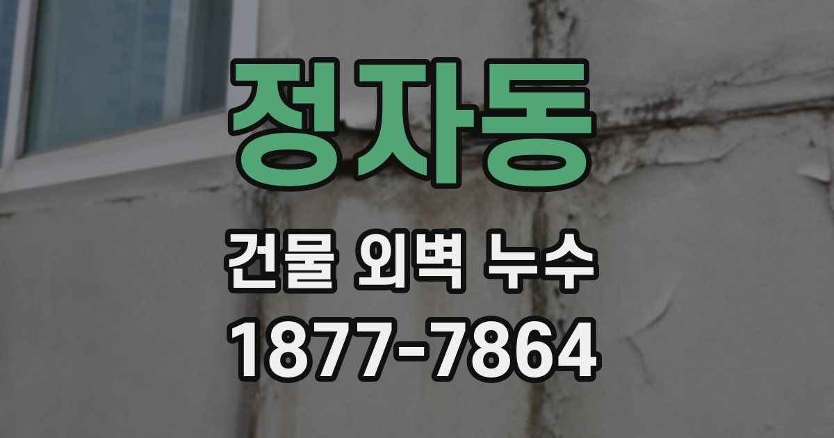 정자동 건물 외벽 누수