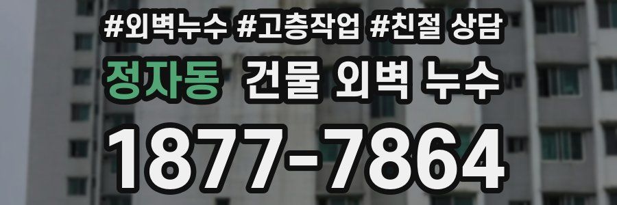 정자동 건물 외벽 누수