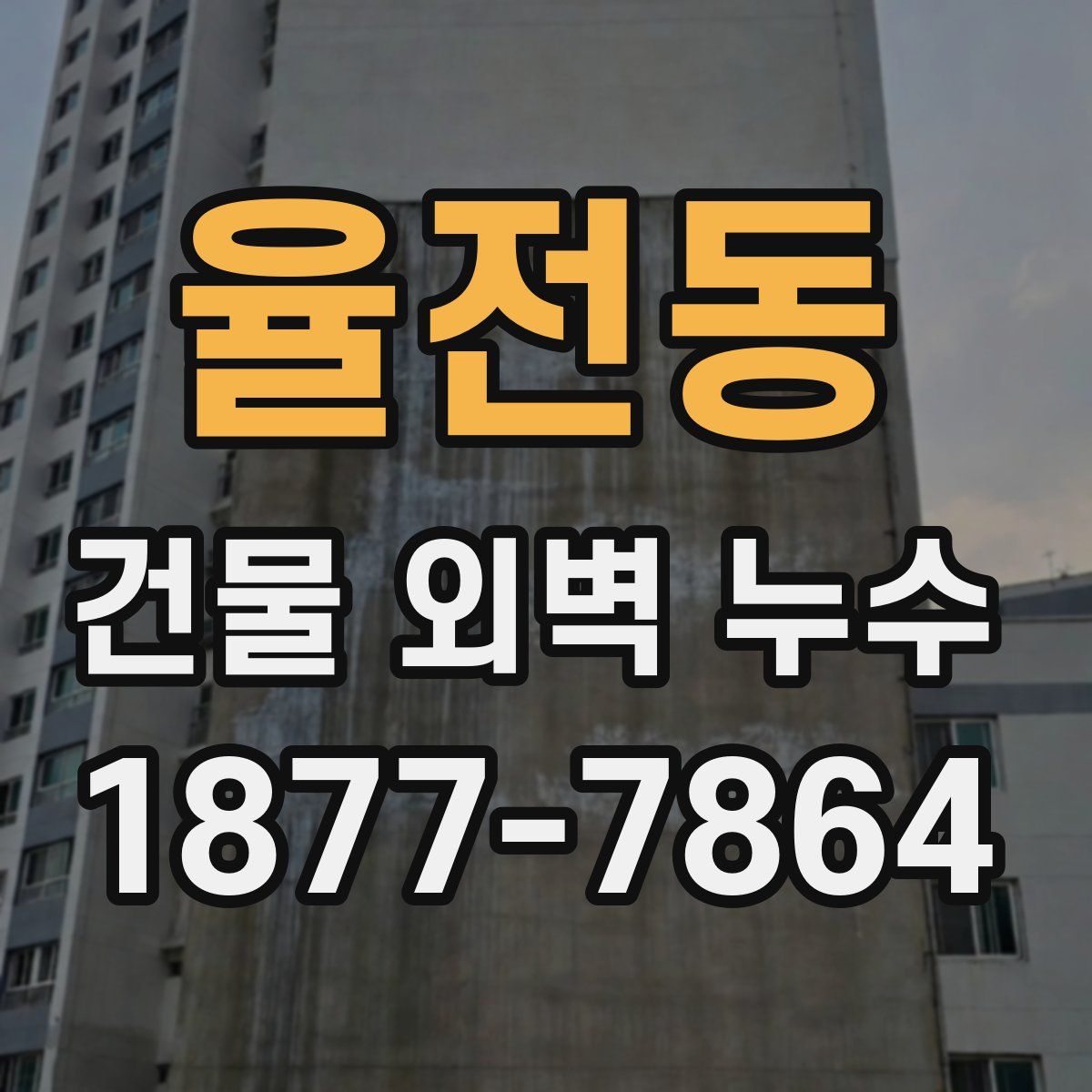 율전동 건물 외벽 누수