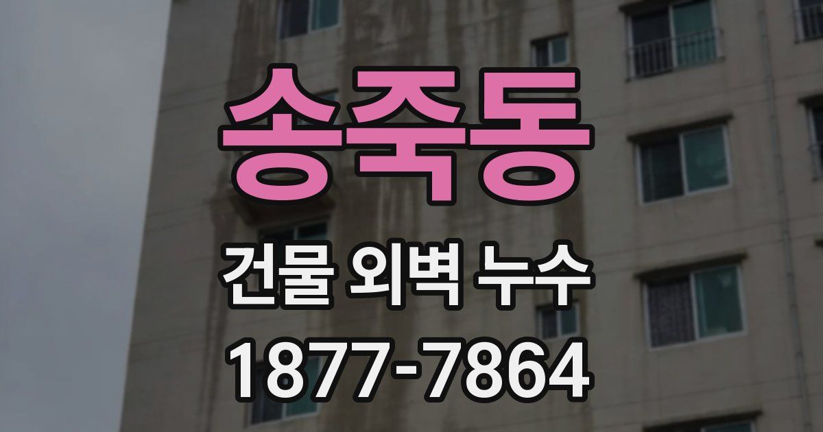 송죽동 건물 외벽 누수
