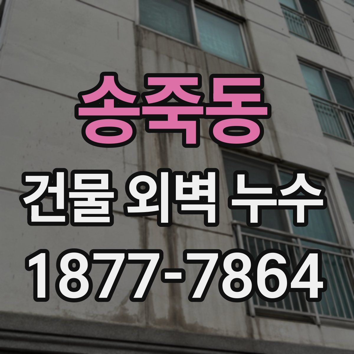 송죽동 건물 외벽 누수