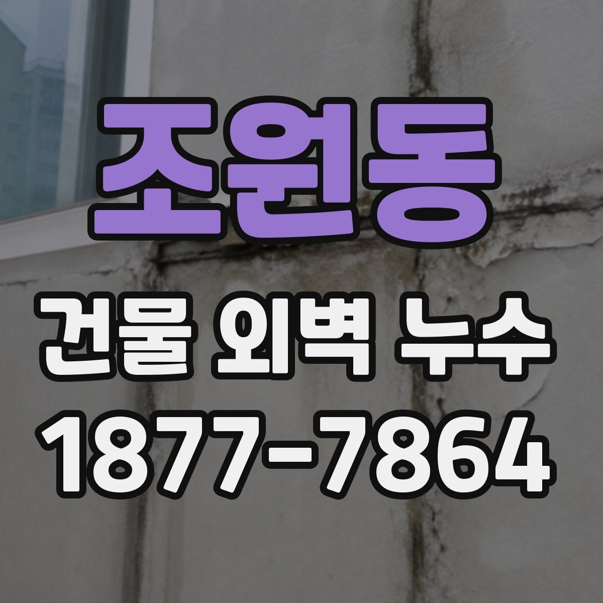 조원동 건물 외벽 누수