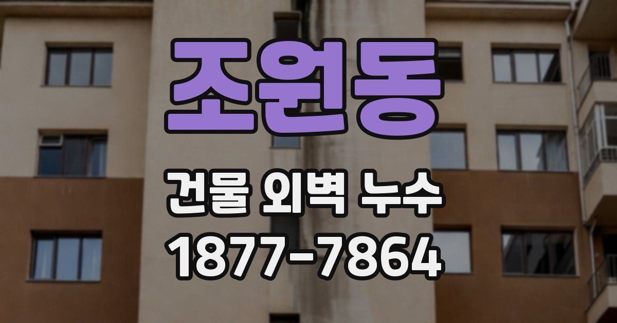 조원동 건물 외벽 누수