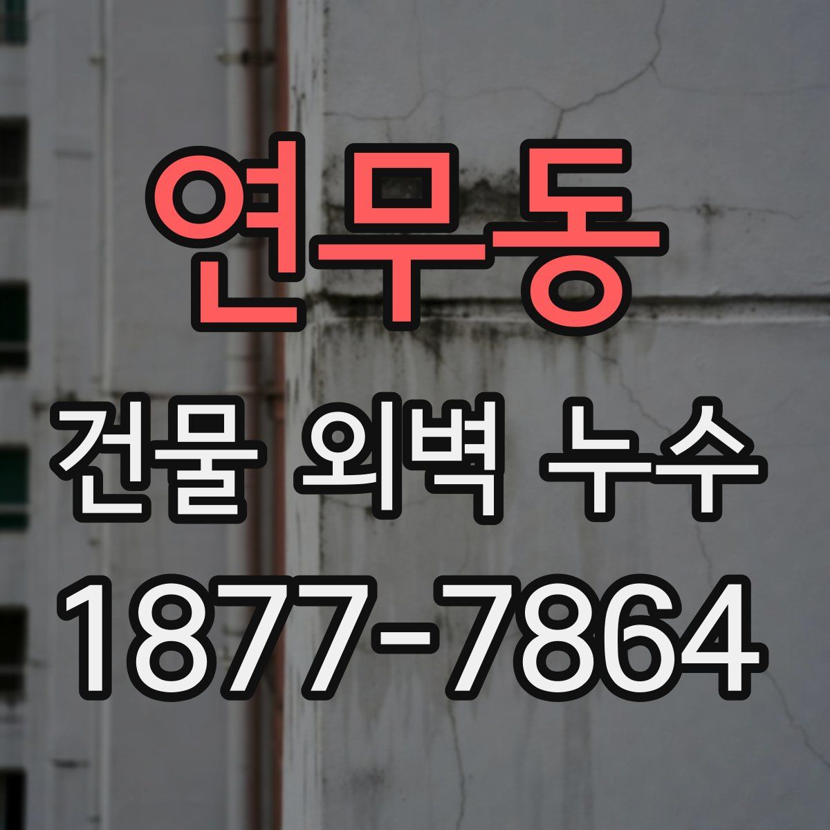 연무동 건물 외벽 누수