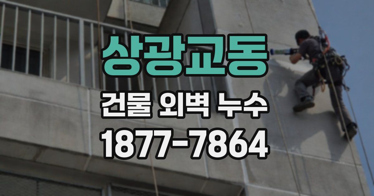 상광교동 건물 외벽 누수