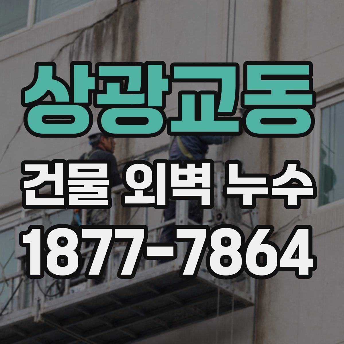 상광교동 건물 외벽 누수