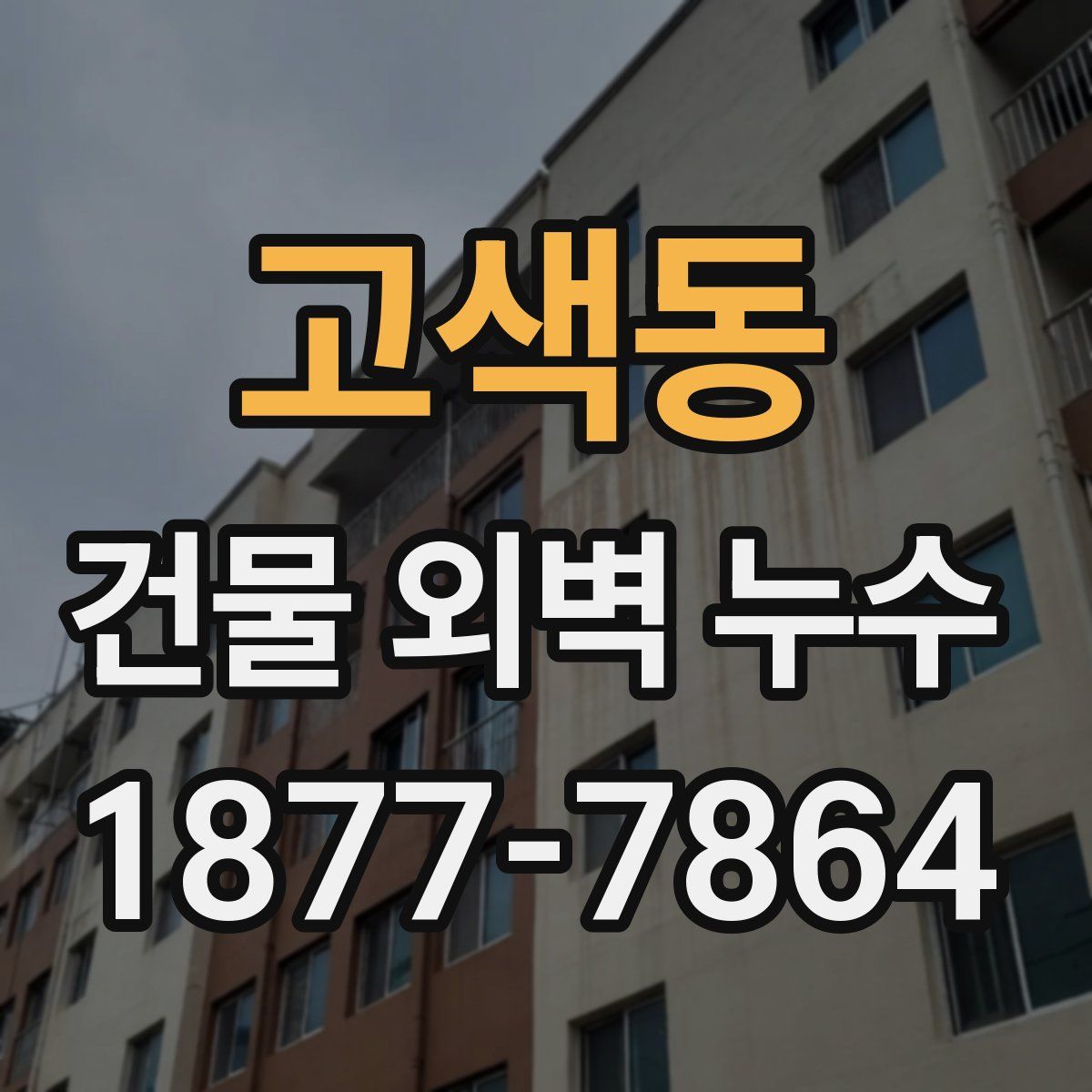 고색동 건물 외벽 누수