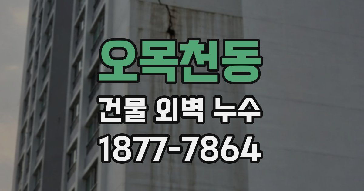 오목천동 건물 외벽 누수