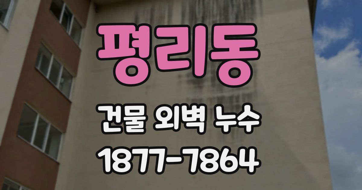 평리동 건물 외벽 누수