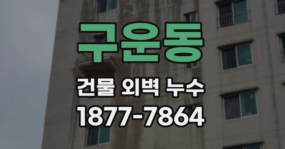 구운동 건물 외벽 누수