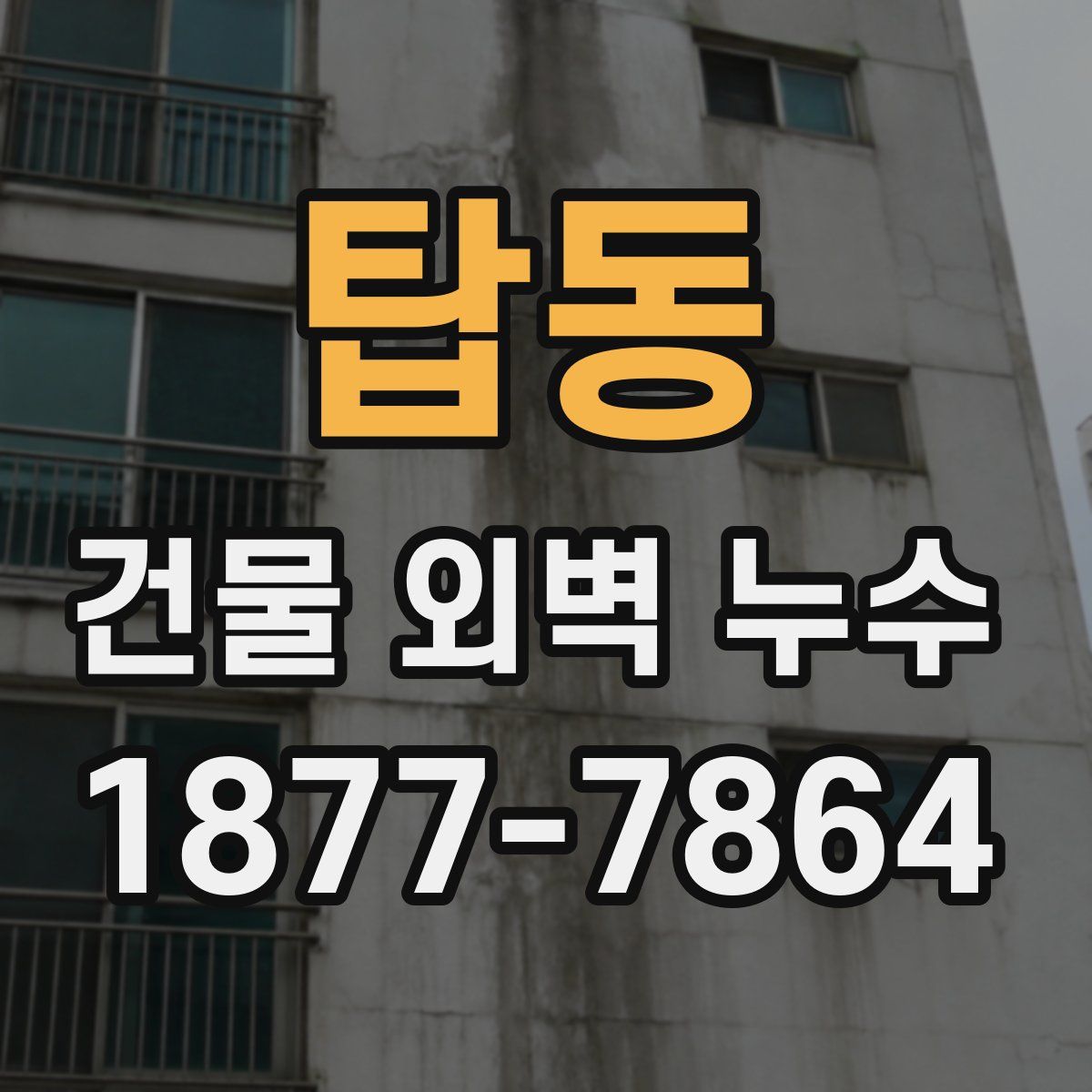 탑동 건물 외벽 누수