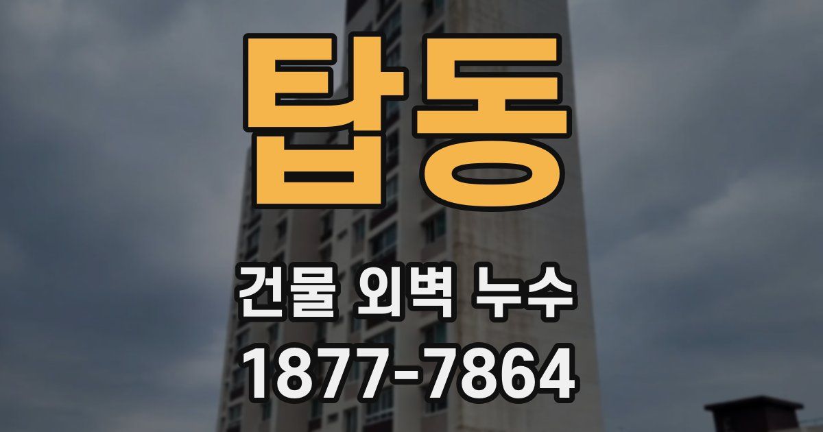 탑동 건물 외벽 누수