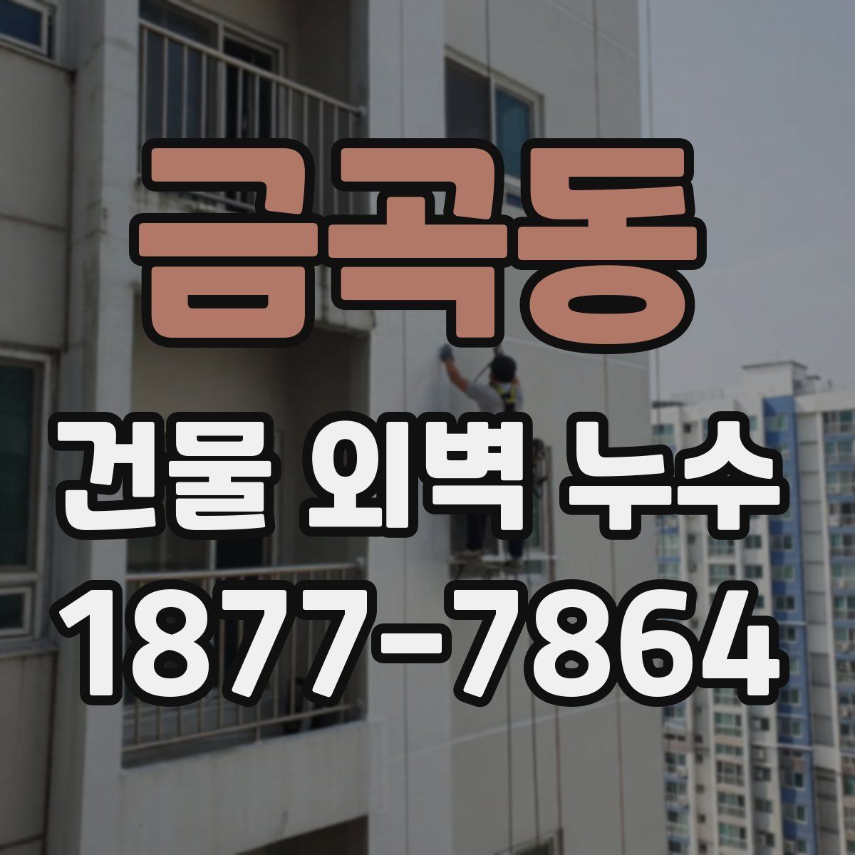 금곡동 건물 외벽 누수