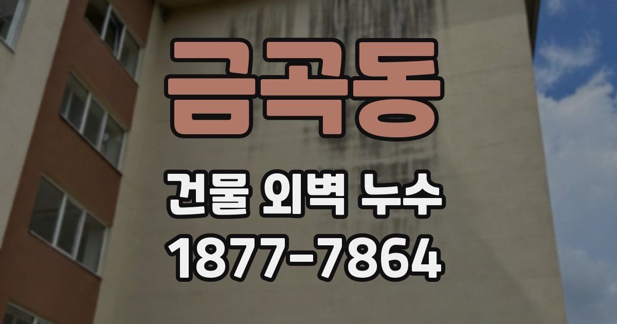 금곡동 건물 외벽 누수