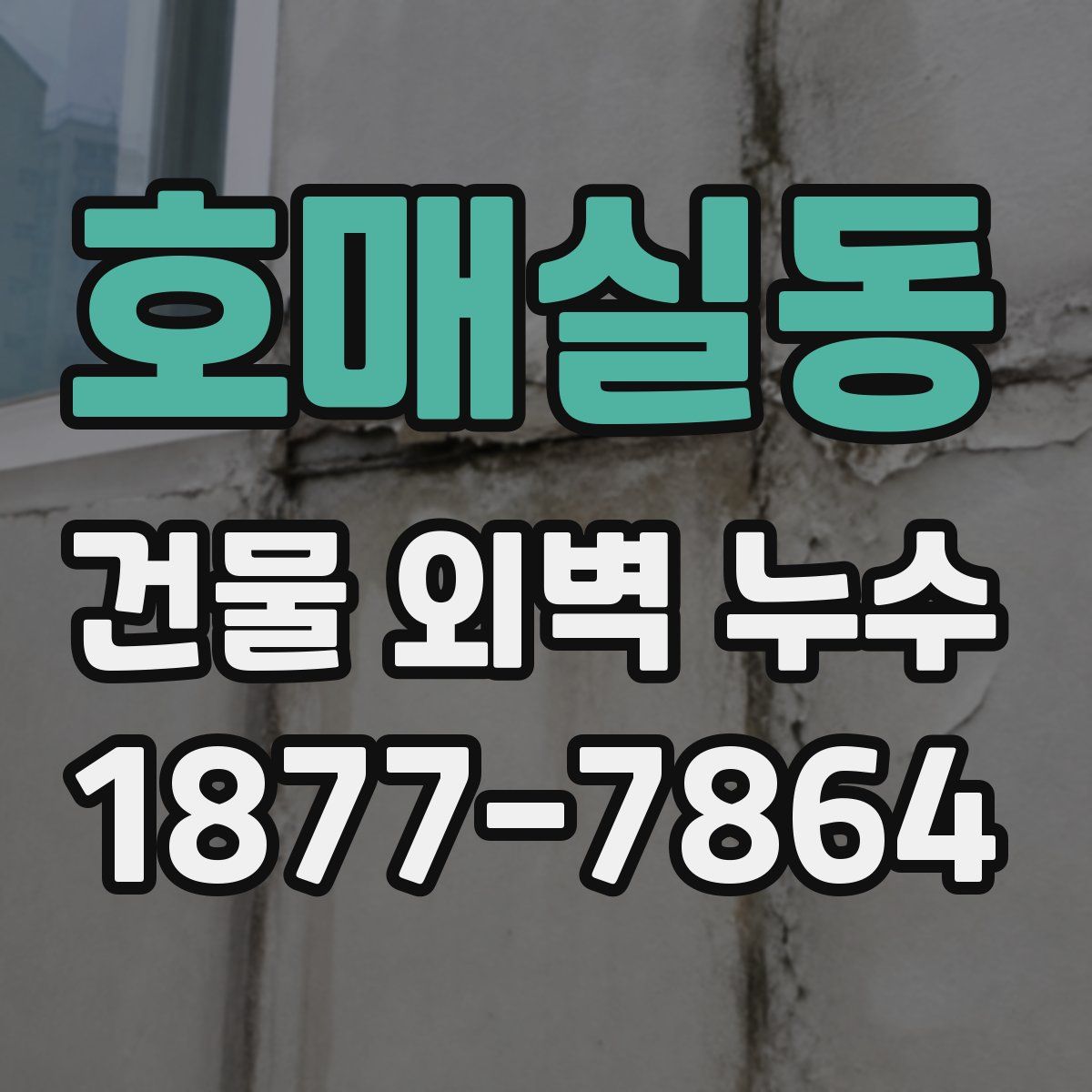 호매실동 건물 외벽 누수