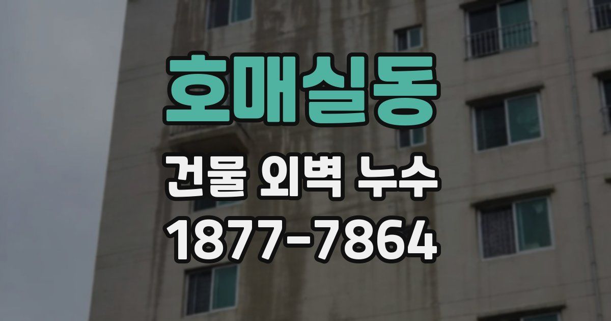 호매실동 건물 외벽 누수