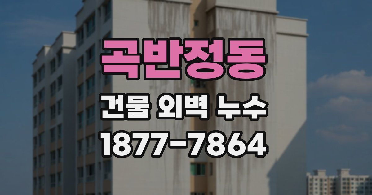 곡반정동 건물 외벽 누수