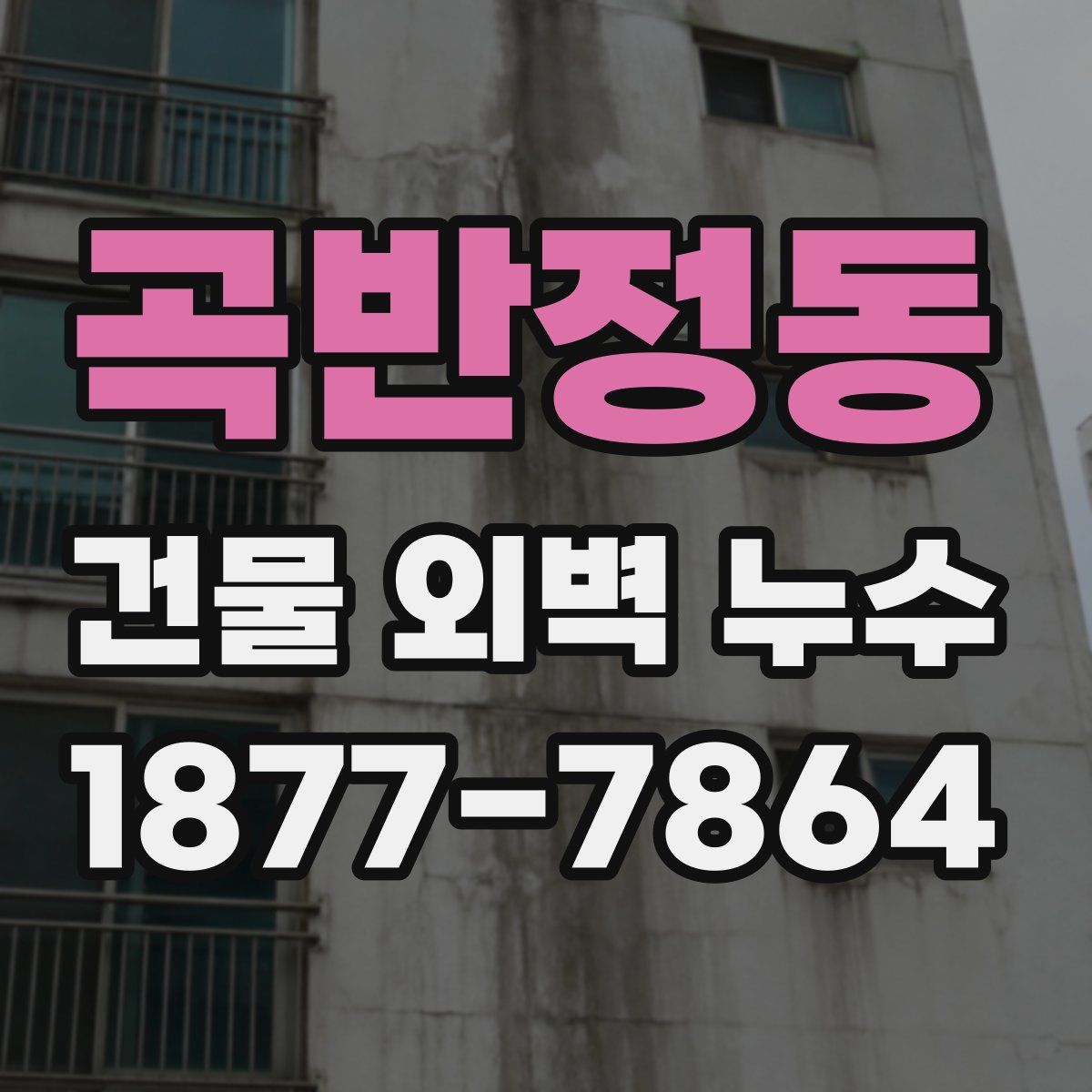 곡반정동 건물 외벽 누수