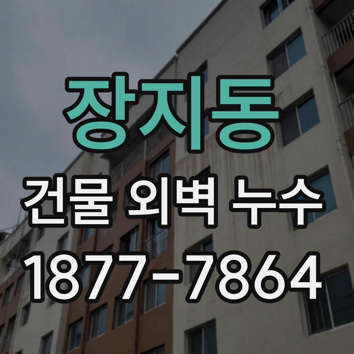 장지동 건물 외벽 누수