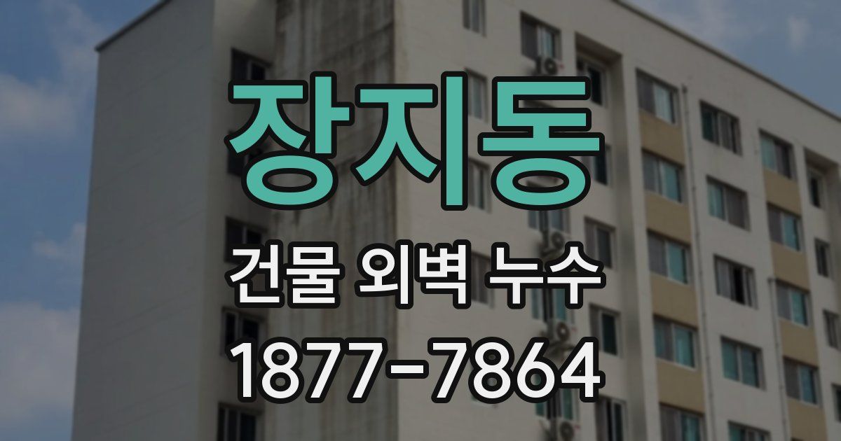 장지동 건물 외벽 누수