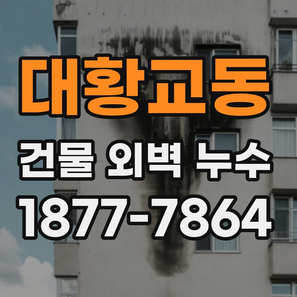 대황교동 건물 외벽 누수