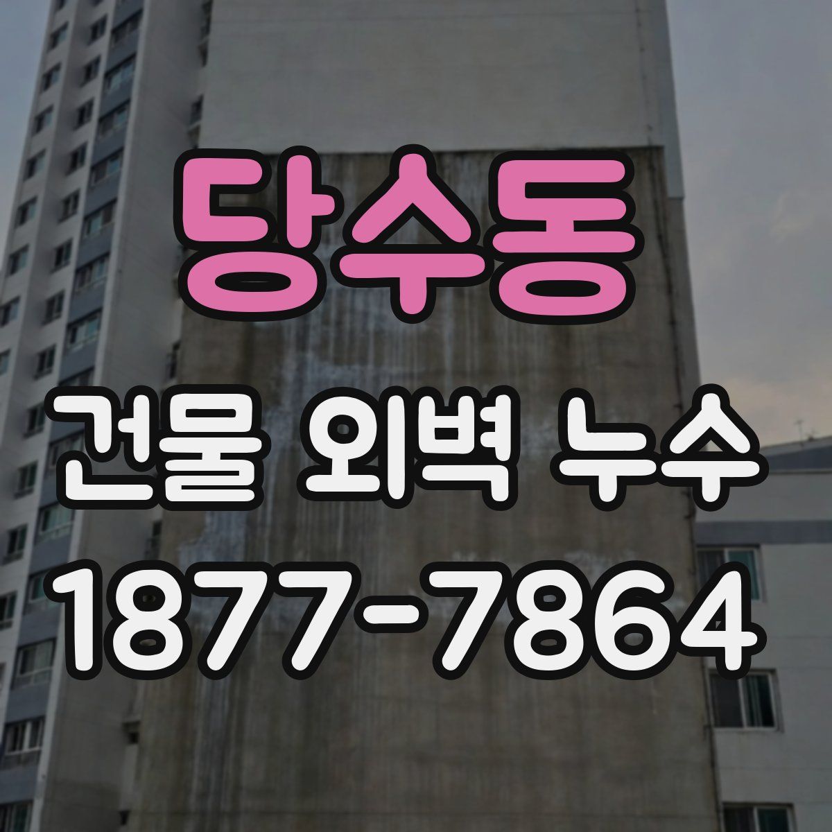 당수동 건물 외벽 누수
