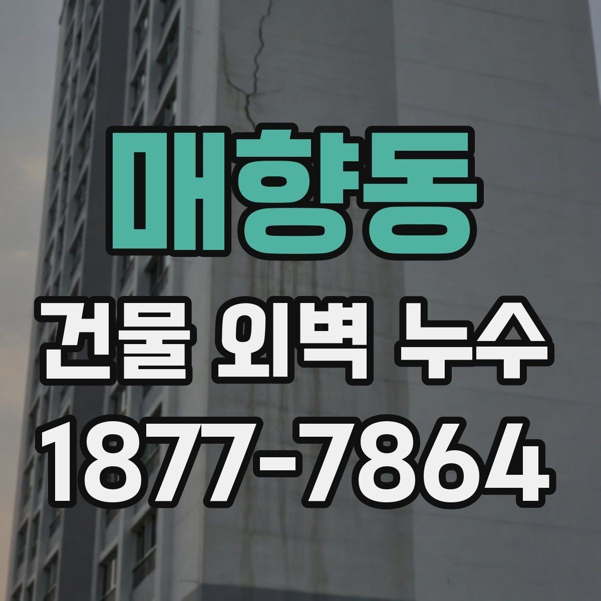 매향동 건물 외벽 누수 발생 후 임시 조치 요령