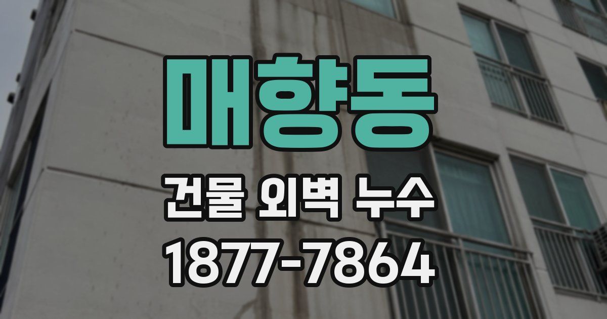 매향동 건물 외벽 누수