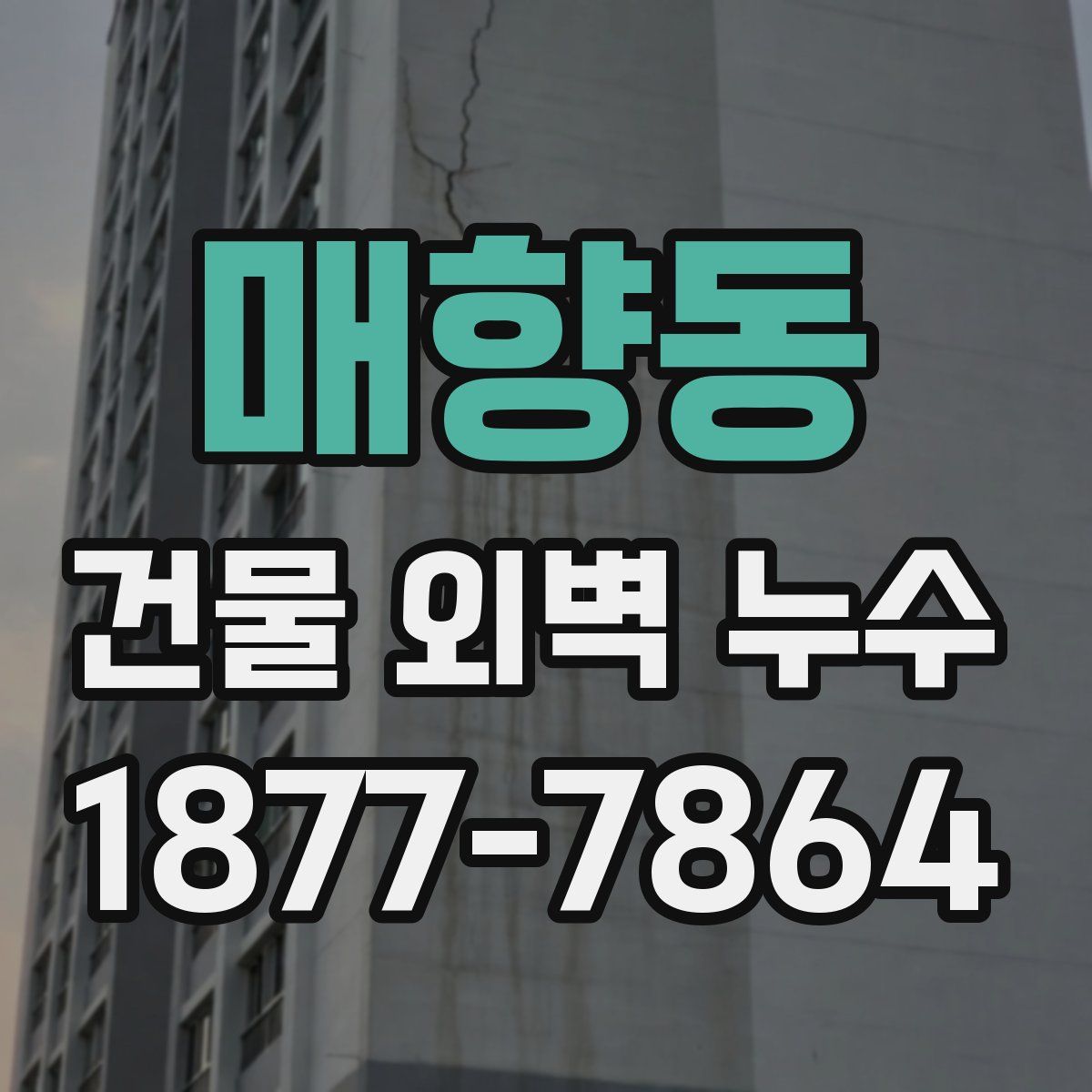 매향동 건물 외벽 누수
