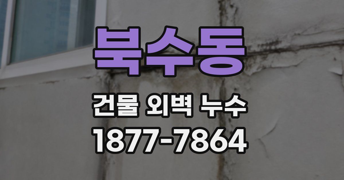 북수동 건물 외벽 누수