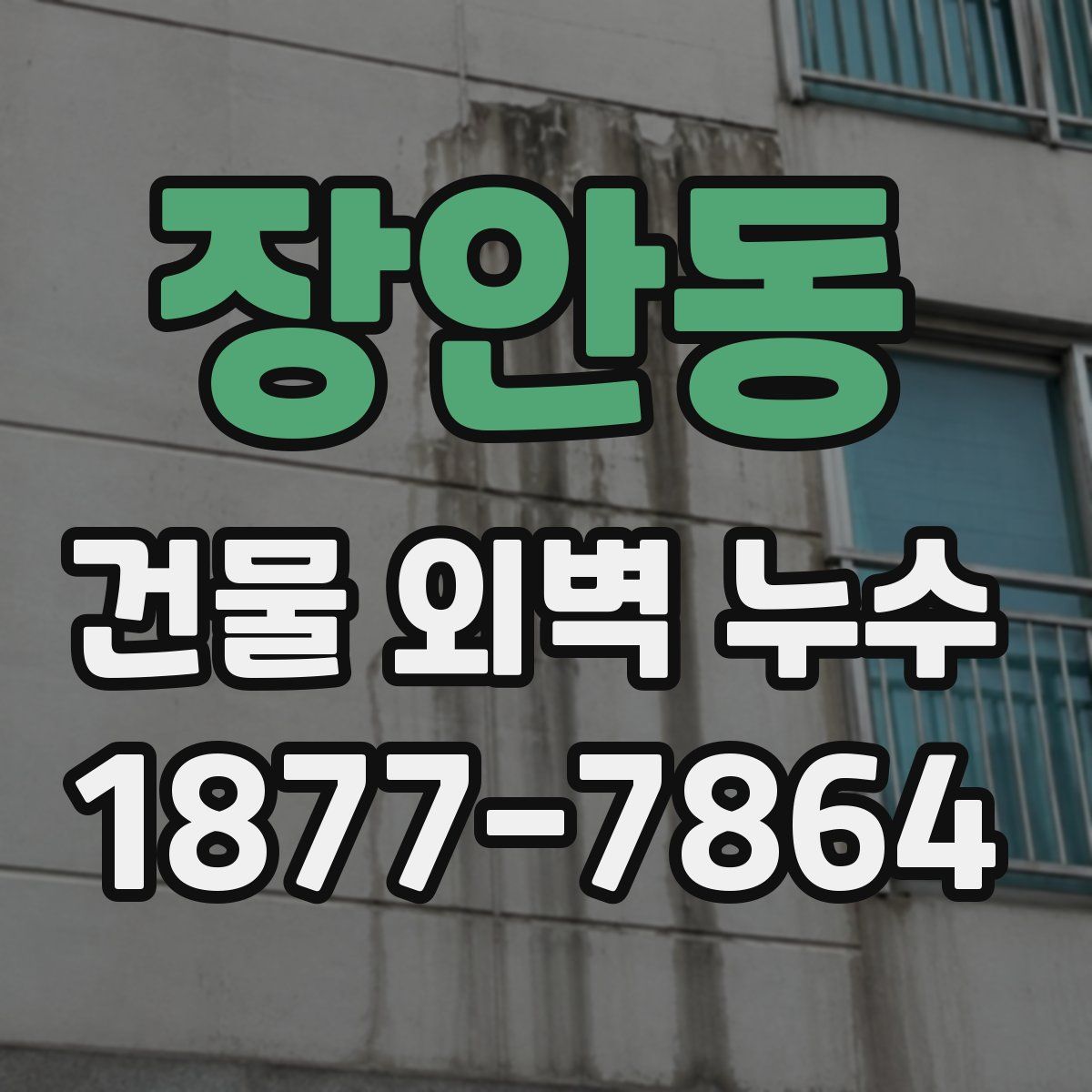 장안동 건물 외벽 누수