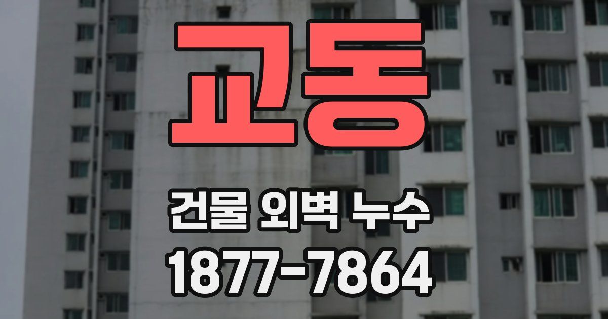 교동 건물 외벽 누수