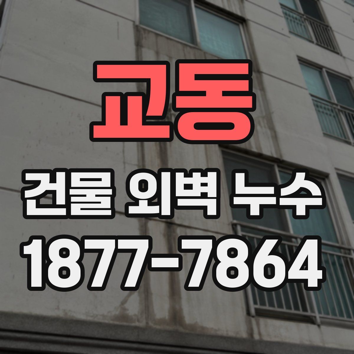 교동 건물 외벽 누수