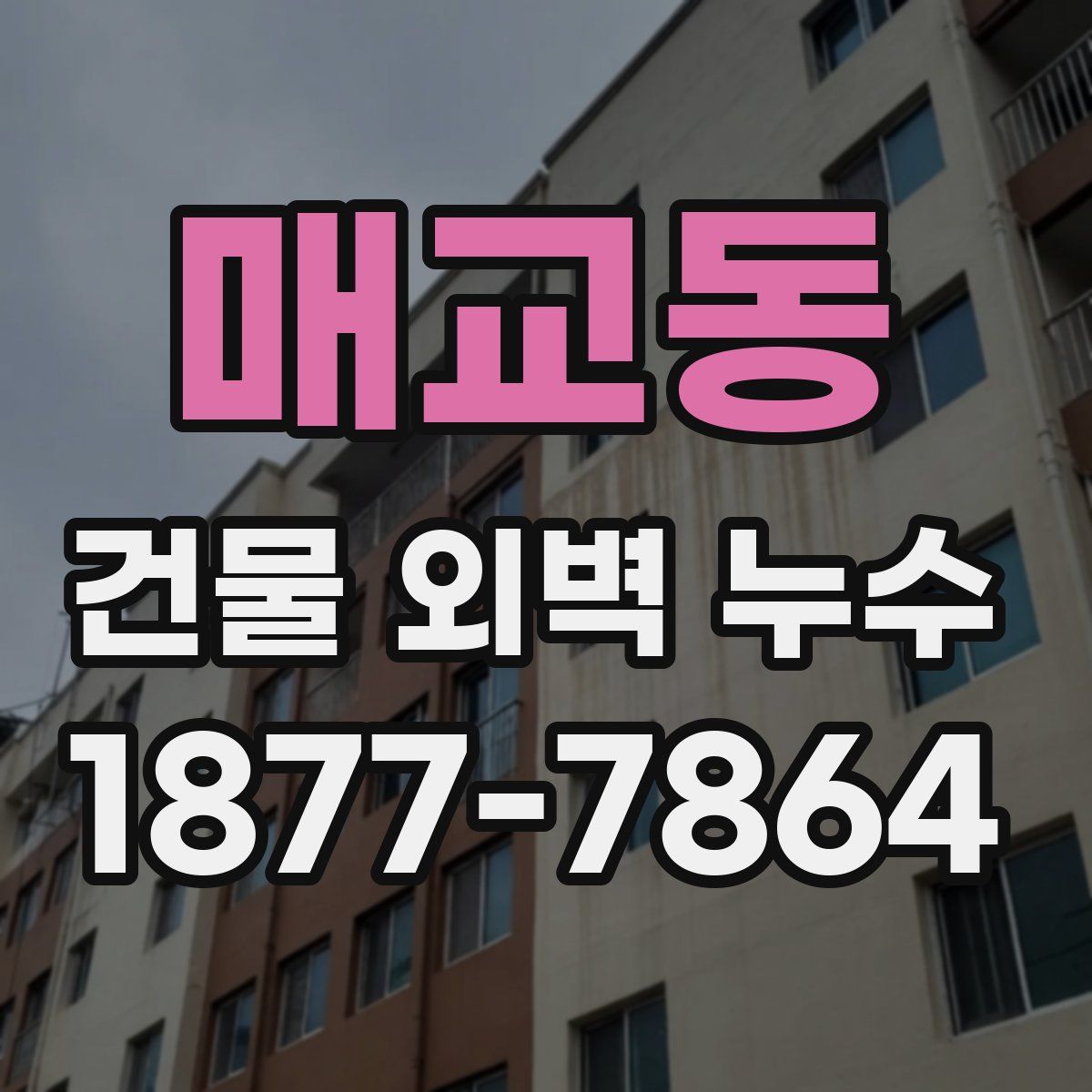 매교동 건물 외벽 누수