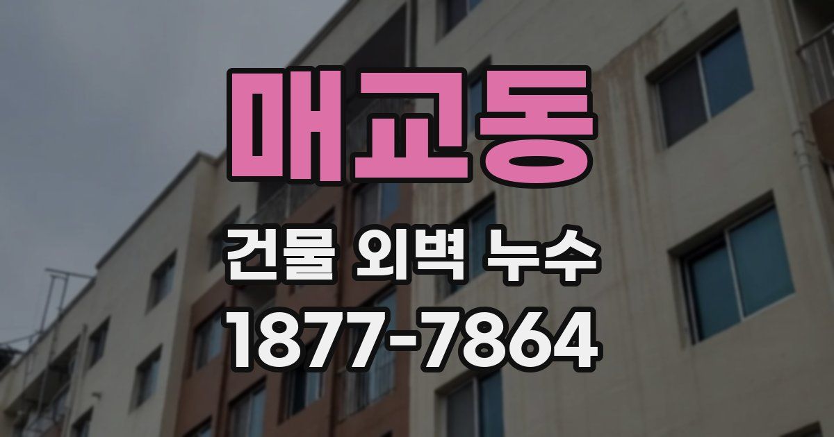 매교동 건물 외벽 누수