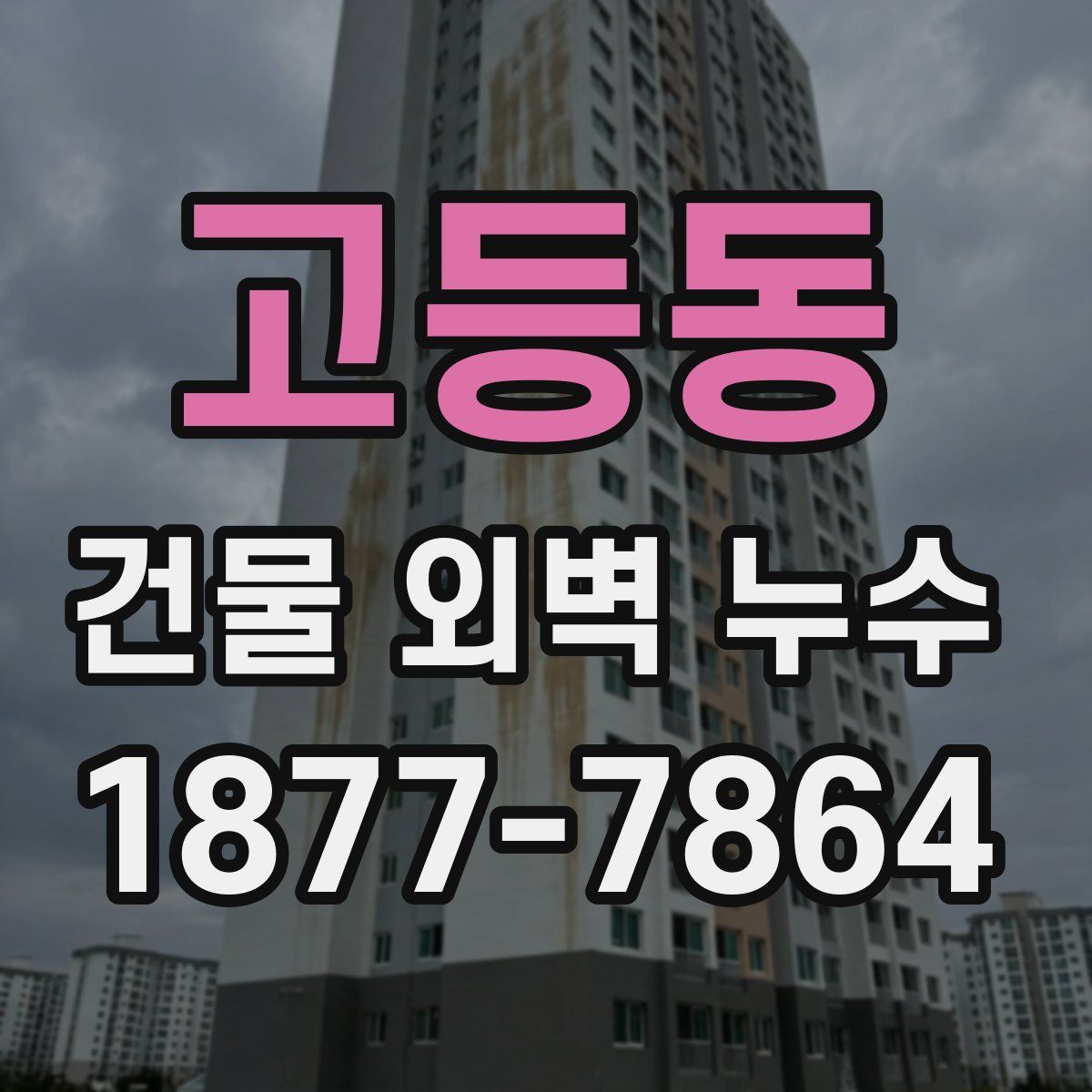 고등동 건물 외벽 누수