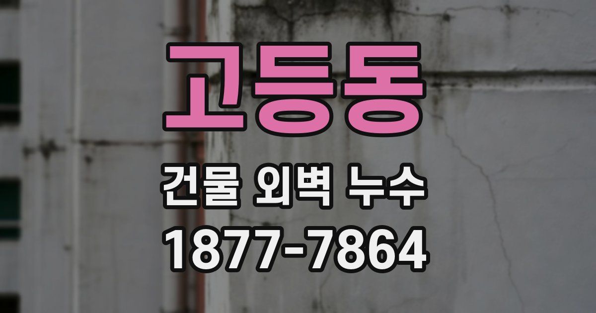 고등동 건물 외벽 누수
