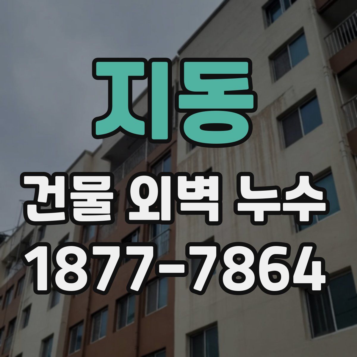 지동 건물 외벽 누수
