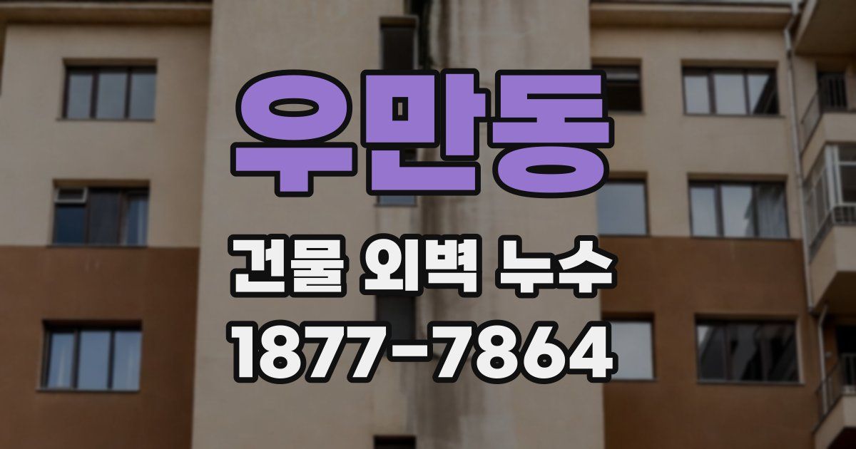 우만동 건물 외벽 누수