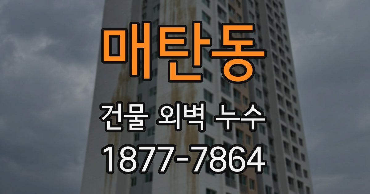 매탄동 건물 외벽 누수