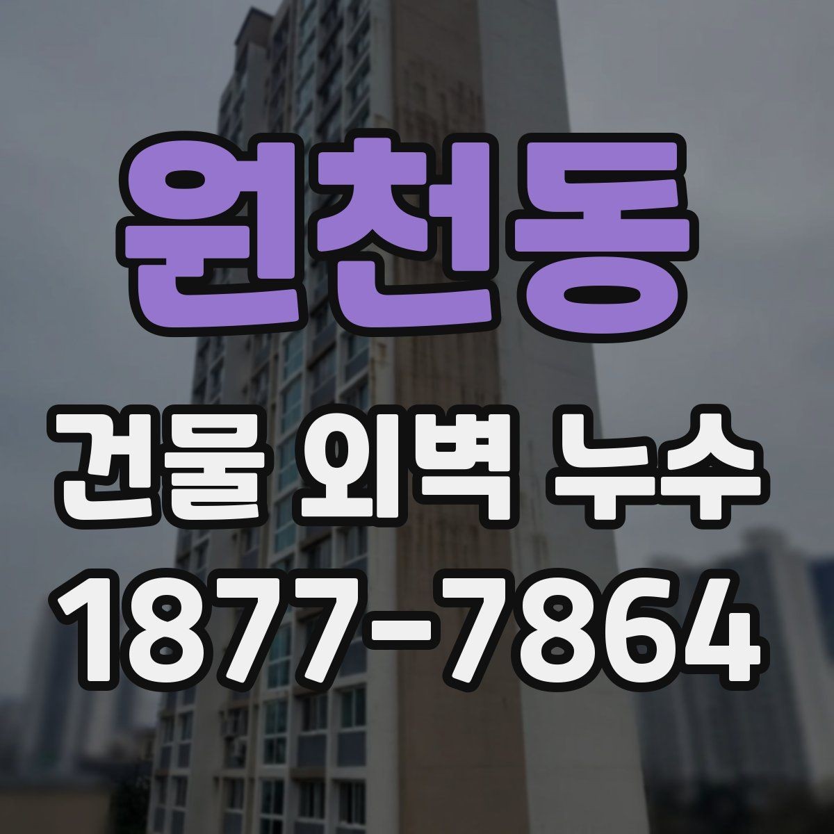 원천동 건물 외벽 누수 사례로 보는 주요 원인