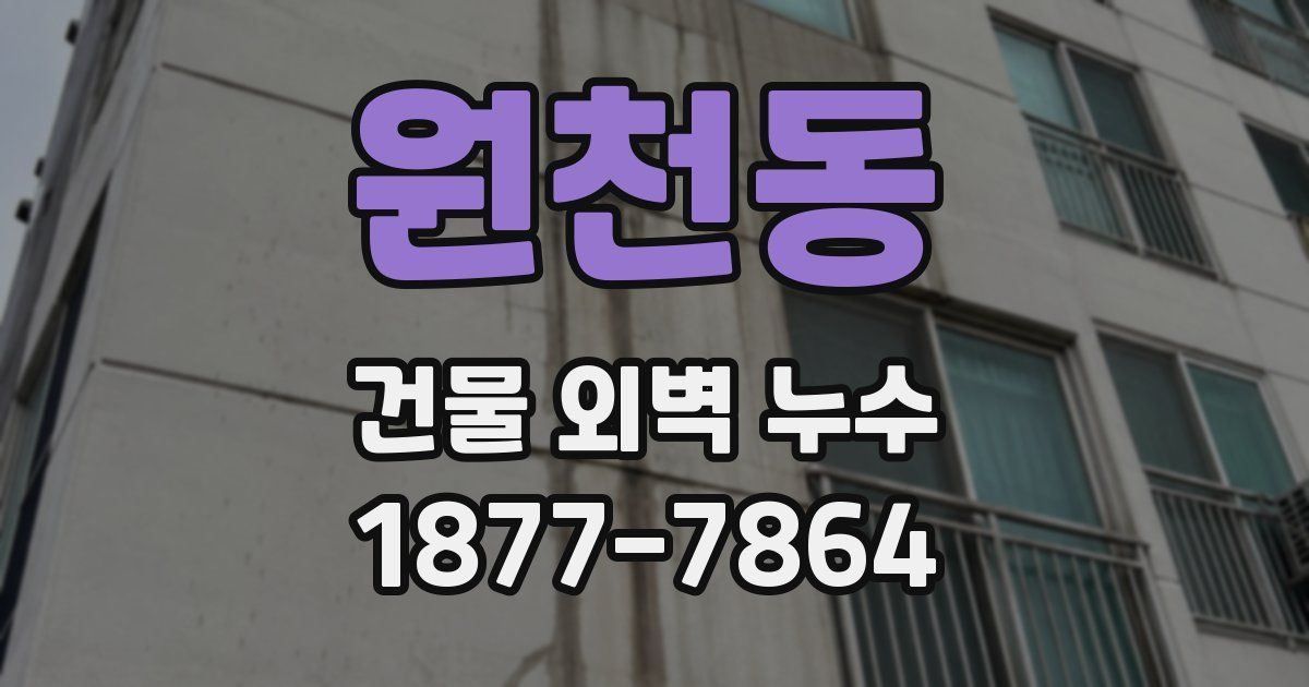 원천동 건물 외벽 누수